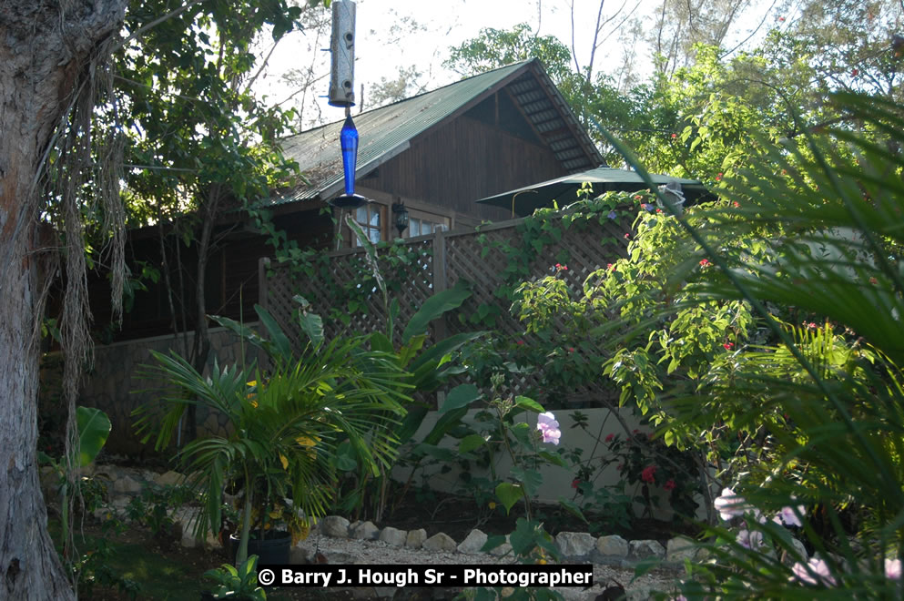 Catcha Fallen Star Resort Rises from the Destruction of Hurricane Ivan, West End, Negril, Westmoreland, Jamaica W.I. - Photographs by Net2Market.com - Barry J. Hough Sr. Photojournalist/Photograper - Photographs taken with a Nikon D70, D100, or D300 -  Negril Travel Guide, Negril Jamaica WI - http://www.negriltravelguide.com - info@negriltravelguide.com...!